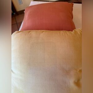 Two Throw Pillows